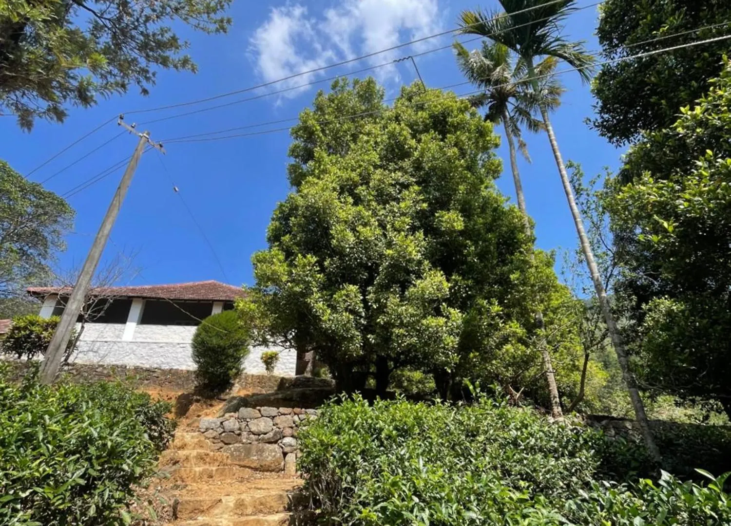 Merchiston Estates Villa Ponmudi
